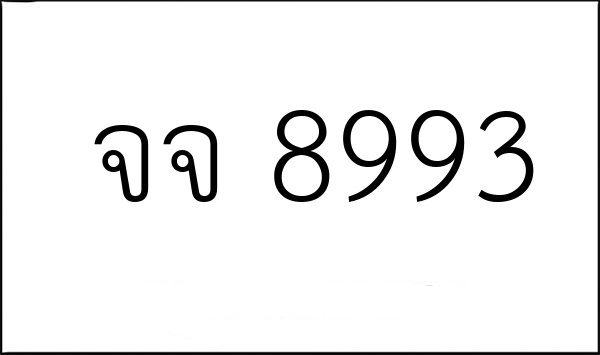 จจ 8993